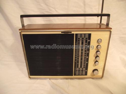 Sonneberg 6000; Stern-Radio (ID = 1094658) Radio