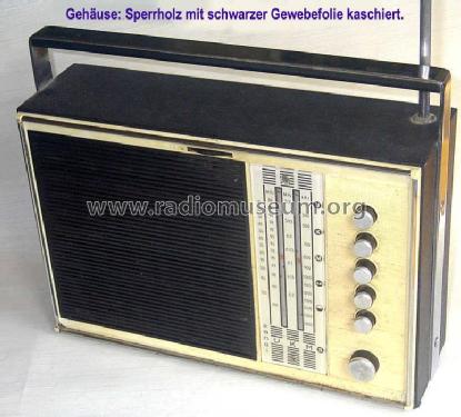 Sonneberg 6000; Stern-Radio (ID = 418118) Radio