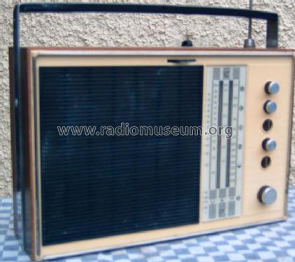 Sonneberg 6000; Stern-Radio (ID = 86908) Radio