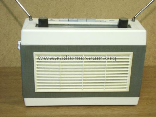 Stern 3 ; Stern-Radio Rochlitz (ID = 310609) Radio