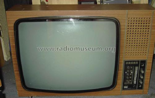 Luxomat 110; Stern-Radio Staßfurt (ID = 1242362) Television