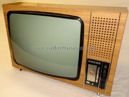 Luxomat 110; Stern-Radio Staßfurt (ID = 2480380) Television
