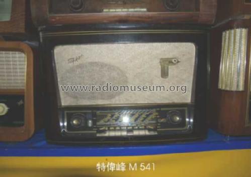 Tefifon T 541 Ch= T5623; Tefi-Apparatebau; (ID = 803908) Radio