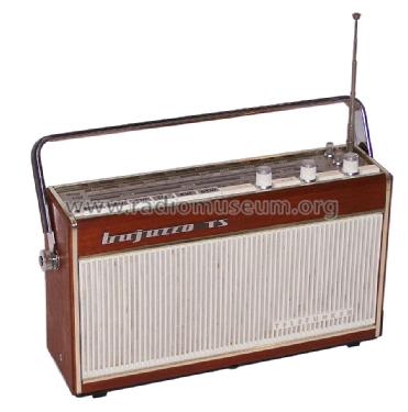Bajazzo TS101; Telefunken (ID = 677083) Radio