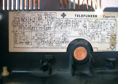 Caprice 101; Telefunken (ID = 1430754) Radio