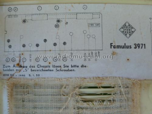 Famulus 3971; Telefunken (ID = 1516618) Radio