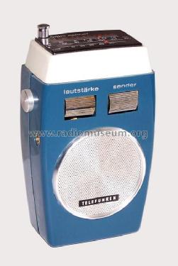 Mini Partner 101; Telefunken (ID = 363019) Radio