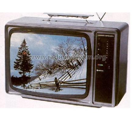 Oravan Color 4333A; Tesla; Praha, (ID = 353372) Television