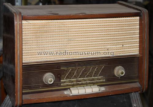 539; Wevo; Halen (ID = 1876773) Radio