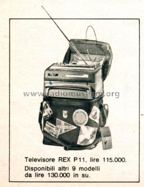 P11; Zanussi, Naonis, Rex (ID = 2610524) Television