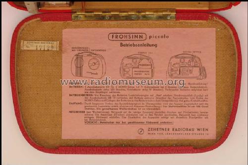 Frohsinn Piccolo BW53; Zehetner Radiobau- (ID = 393571) Radio