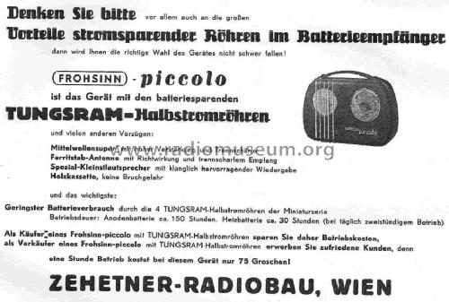 Frohsinn Piccolo BW53; Zehetner Radiobau- (ID = 595865) Radio