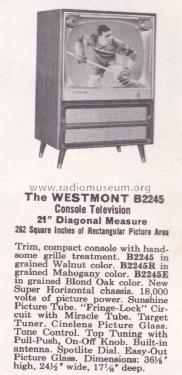 B2245R Ch= 17B20; Zenith Radio Corp.; (ID = 1939212) Television