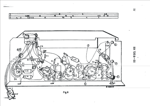BX135B /00; Philips; Eindhoven (ID = 1010011) Radio