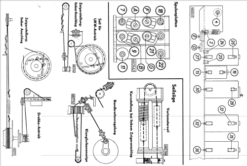 Andante 1952; Telefunken (ID = 2420029) Radio