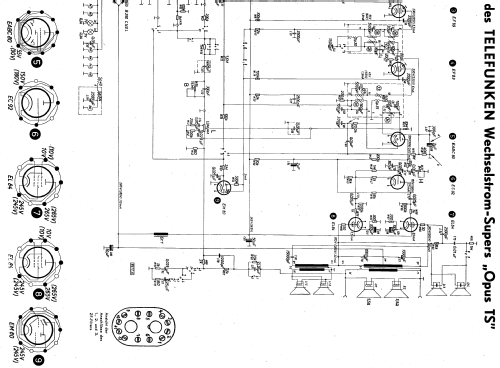 Opus 55/TS; Telefunken (ID = 466217) Radio