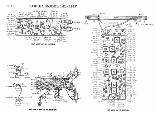 14 Transistor FM/AM 3 Band 14L-828F; Toshiba Corporation; (ID = 1704372) Radio