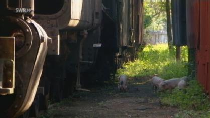 Myanmar: Pyuntaza Locoshed in Pyuntaza