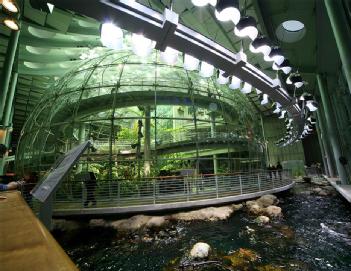United States of America (USA): California Academy of Sciences in 94118 San Francisco