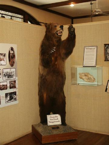 United States of America (USA): Yellowstone Historic Center in 59758 West Yellowstone