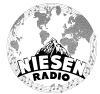 tbn_ch_niesen_radio_signet_1949_1950.png.jpg