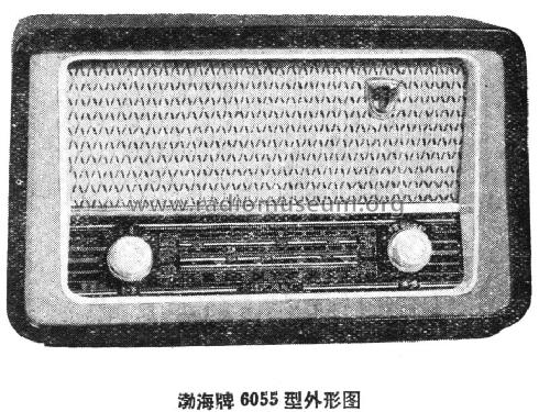 Bohai 渤海 6055; Dalian 大连无线电厂 (ID = 801890) Radio