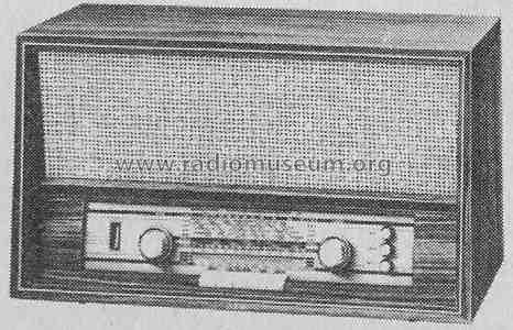 Banjo 1462; AEG Radios Allg. (ID = 326415) Radio