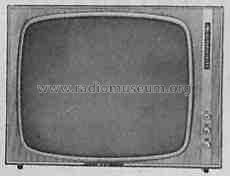 Visavox 2000; AEG Radios Allg. (ID = 326398) Television