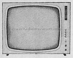 Visavox 2000L; AEG Radios Allg. (ID = 290723) Televisore