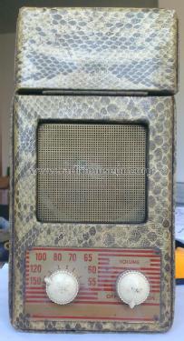 A-410 ; Air King Products Co (ID = 1972717) Radio