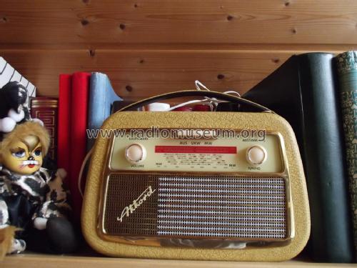 Pinguette 59; Akkord-Radio + (ID = 1778846) Radio