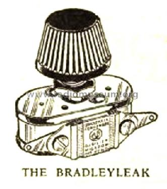 Bradleyleak Grid Leak Unit ; Allen-Bradley Co.; (ID = 1304384) Radio part