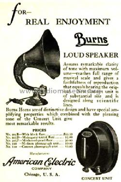 Burns Loudspeaker 205D; American Electric (ID = 1368246) Speaker-P