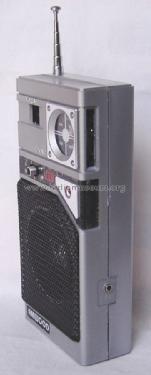 AM-FM-LED DO-10; Amwood Ltd; Hong (ID = 1627547) Radio