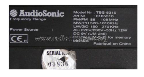 Stereo Radio Double Cassette Recorder TBS-5310; AudioSonic, (ID = 2313754) Radio