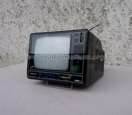 Mini CarTV BWTV 112; AudioTon Grünwald (ID = 2631451) Television