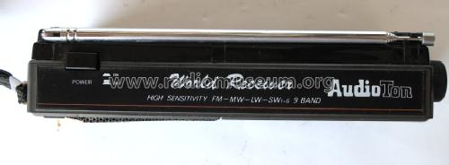 9 Band World Receiver ; AudioTon Grünwald (ID = 489631) Radio