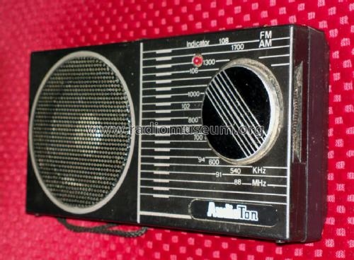 AM/FM Radio ; AudioTon Grünwald (ID = 1824560) Radio