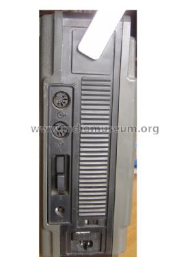 Vega {Вега} 326; Berdsk Radio Works (ID = 755722) Radio