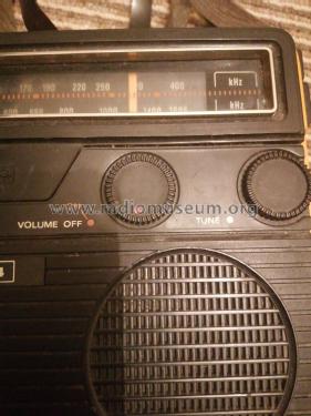 Vega {Вега} 404; Berdsk Radio Works (ID = 2820123) Radio