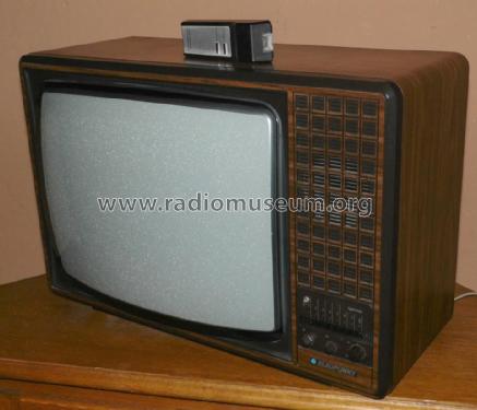 Cartagena T8 Color FM 100-21/0 EX - Best. Nr. 7 663 100; Blaupunkt Ideal, (ID = 1795550) Television