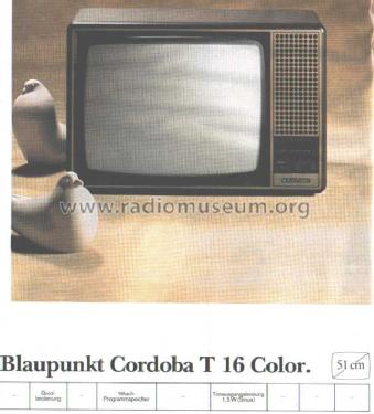 Cordoba T 16 Color 7.662.110 Ch= FM100-21S; Blaupunkt Ideal, (ID = 1961524) Televisore