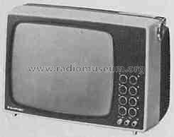 Scout Commander 7.672.070; Blaupunkt Ideal, (ID = 329089) Television