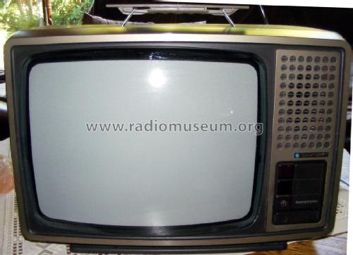 Scout Commander IR16 Color P - Memotronic FM 100-20 GS - Best. Nr. 7 660 050; Blaupunkt Ideal, (ID = 1735176) Television
