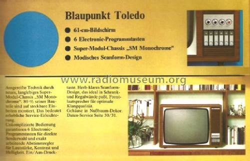 Toledo 7675400 Ch= SM Monochrome; Blaupunkt Ideal, (ID = 1491148) Televisore