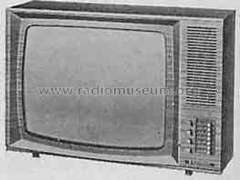 TV1001 7.679.650; Blaupunkt Ideal, (ID = 328080) Televisión