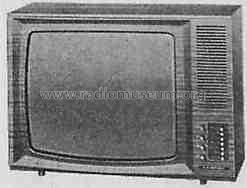 TV1001 7.670.670; Blaupunkt Ideal, (ID = 328559) Televisore