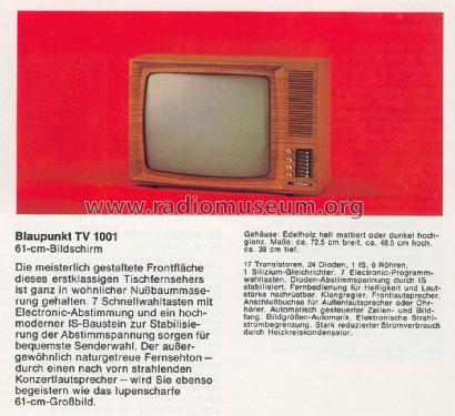 TV1001 7.679.650; Blaupunkt Ideal, (ID = 1608434) Televisión