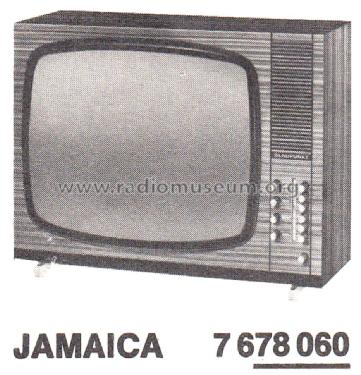 Jamaica 7.678.060; Blaupunkt Ideal, (ID = 2943424) Television