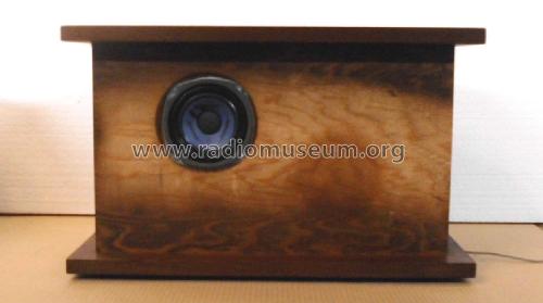 901 ; BOSE Corporation; (ID = 2385466) Speaker-P